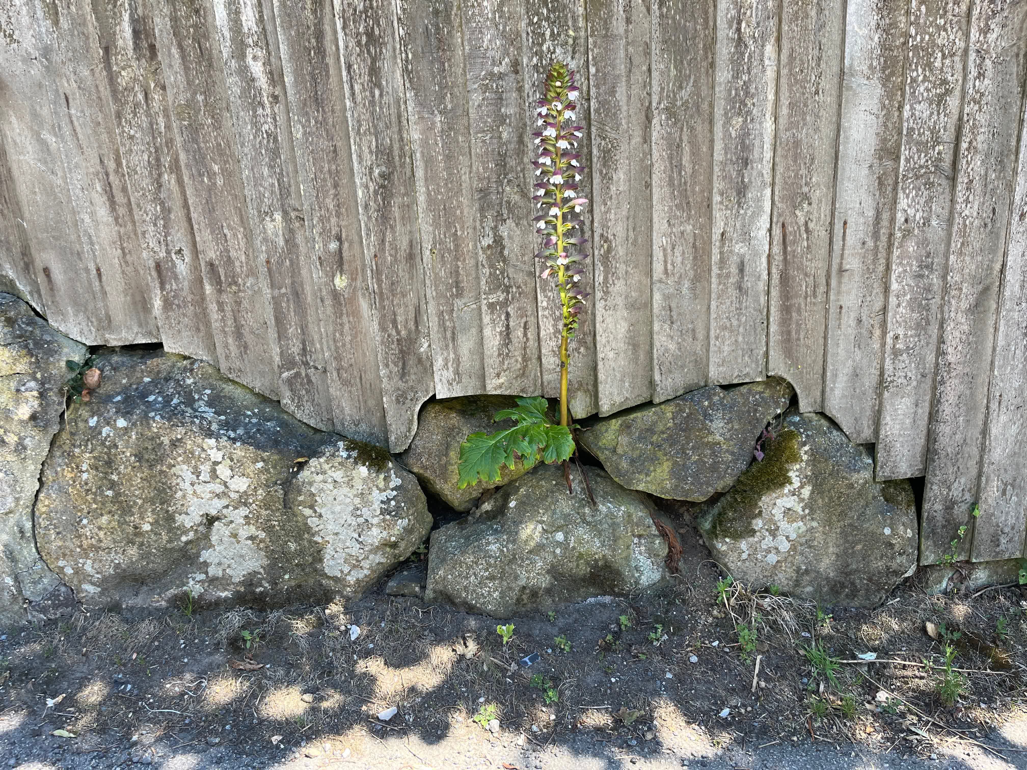 a fence that has been cut to go around a series of rocks